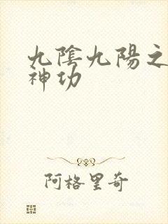 九阴九阳之阴阳神功