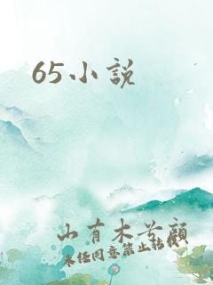 65小说