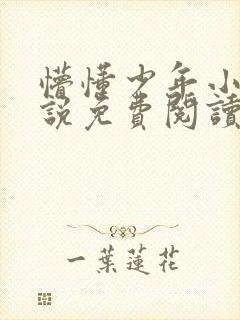 懵懂少年小兵小说免费阅读