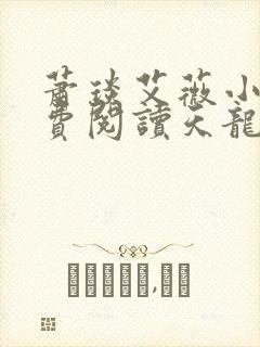 萧琰艾薇小说免费阅读天龙殿