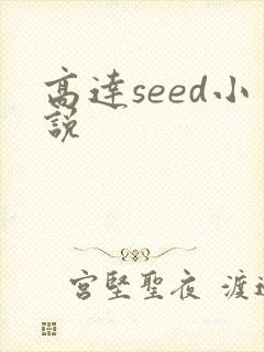 高达seed小说