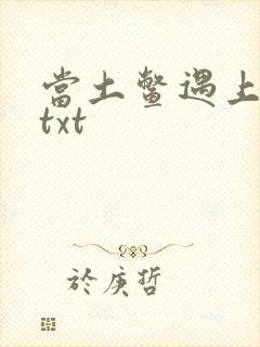 当土鳖遇上海龟txt