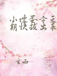 小坏蛋今天危险期快拔出来