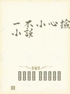 一不小心捡到爱小说