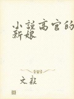 小说高官的暗夜新娘