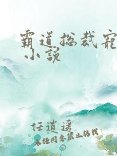 霸道总裁宠上天 小说