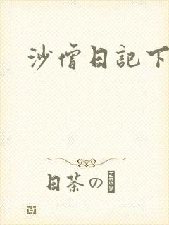 沙僧日记下载