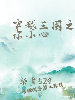 穿越三国之孔明你小心