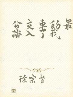 公交车的最后一排入了我