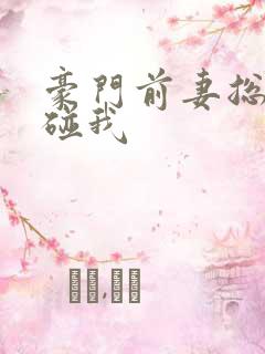 豪门前妻总裁别碰我