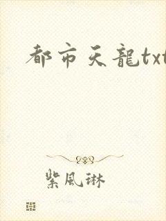 都市天龙txt