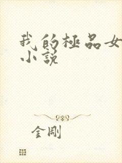 我的极品女老师小说