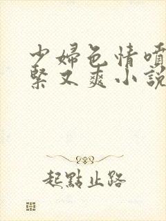 少妇色情喷水又紧又爽小说