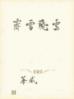 霁雪飞云