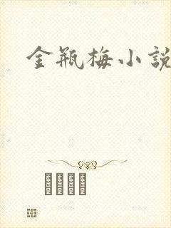 金瓶梅小说下载