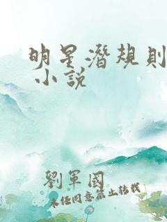 明星潜规则之皇 小说