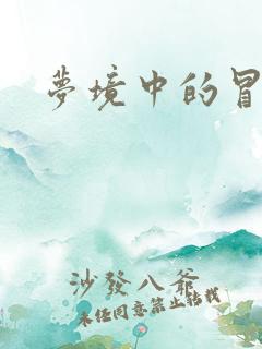 梦境中的冒险家