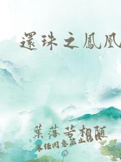 还珠之凤凰重生