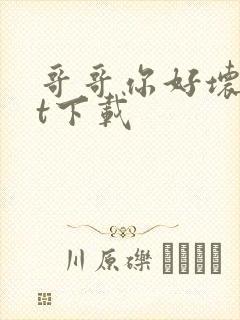 哥哥你好坏txt下载