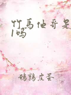 竹马他哥是1v1吗