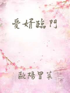 爱婿临门