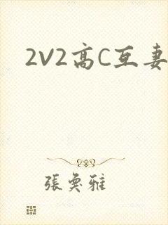 2V2高C互妻