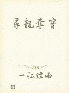 寻龙夺宝