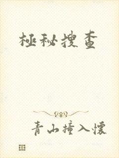 极秘搜查