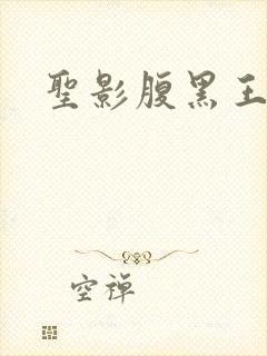 圣影腹黑王子帮