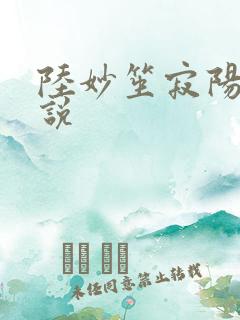 陆妙笙寂阳朔小说