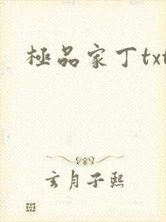 极品家丁txt