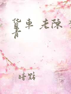 货车 老陈 李青