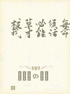 校草必须每天吸我才能活命[穿书]