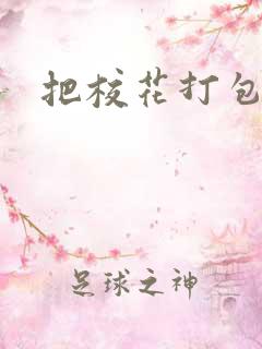 把校花打包带走