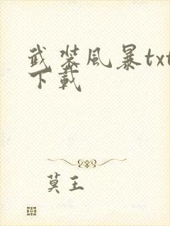 武装风暴txt下载