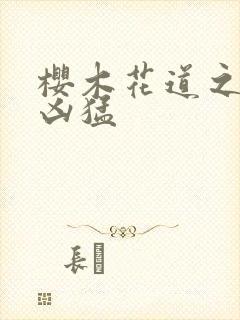 樱木花道之重生凶猛