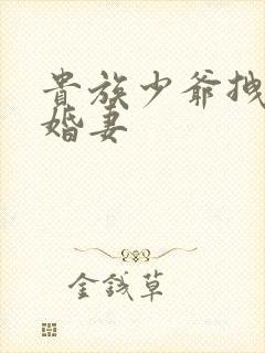 贵族少爷拽拽未婚妻