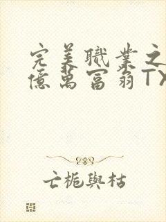 完美职业之我是亿万富翁TXT