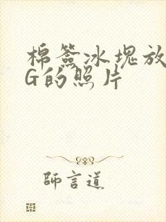 棉签冰块放入PG的照片