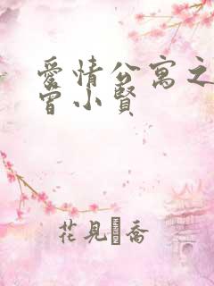 爱情公寓之极品曾小贤