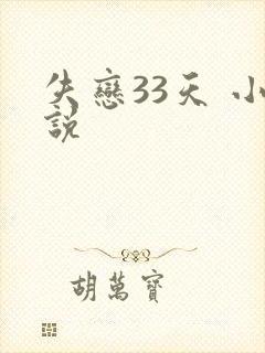 失恋33天 小说