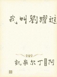 我叫刘跃进下载