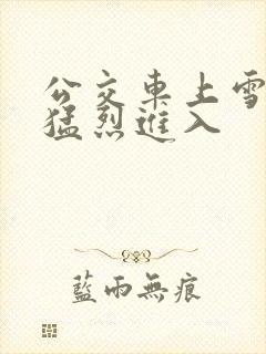 公交车上雪柔被猛烈进入