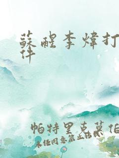 苏醒李炜打架事件