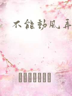 不能动风弄