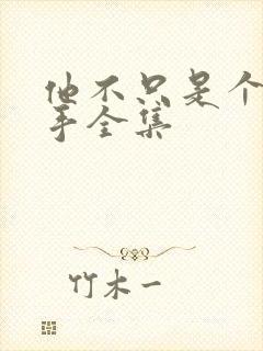 他不只是个狙击手全集