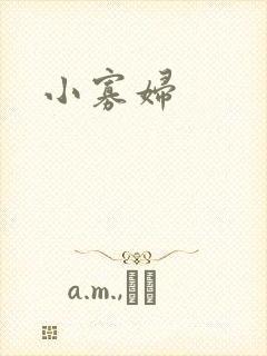 小寡妇
