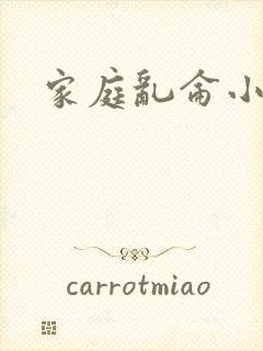 家庭乱仑小说