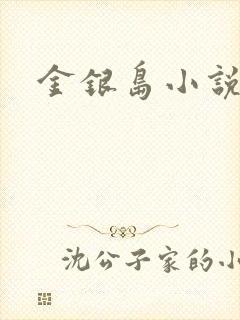 金银岛小说