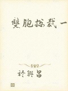 双胞总裁一个妻